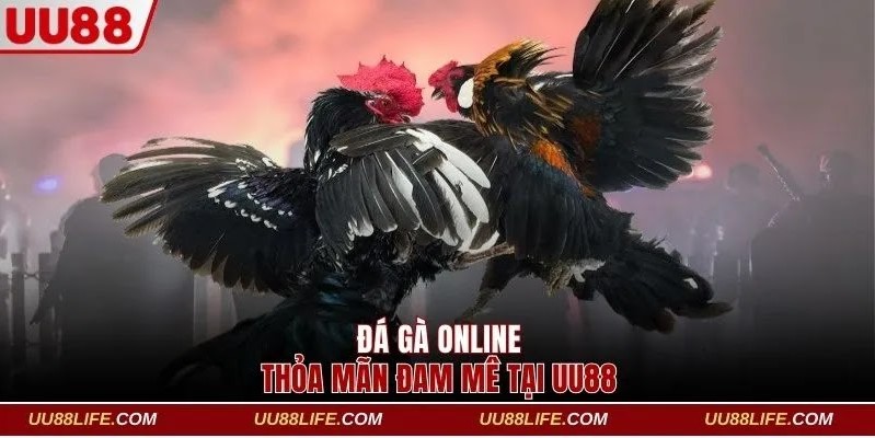đá gà online